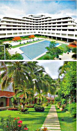 Patong Resort - 3